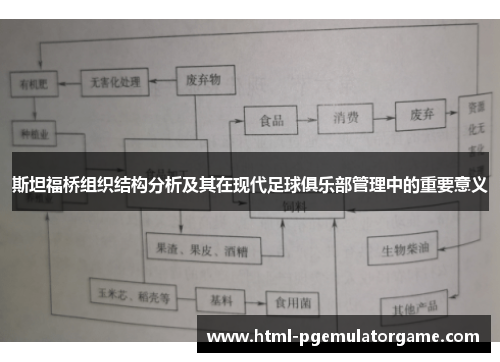 斯坦福桥组织结构分析及其在现代足球俱乐部管理中的重要意义