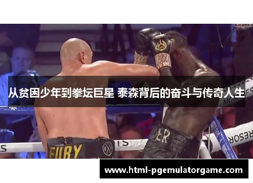 从贫困少年到拳坛巨星 泰森背后的奋斗与传奇人生 从贫困少年到拳坛巨星 泰森背后的奋斗与传奇人生